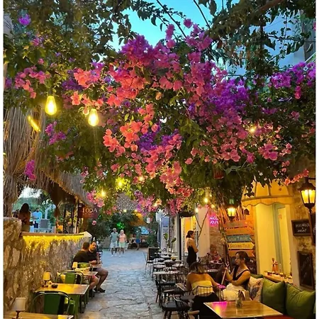 Serenity Chania Centre Апартаменти